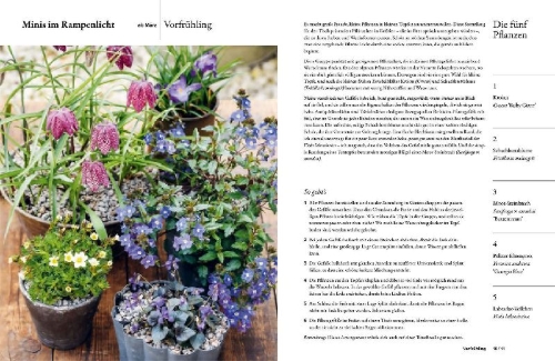 Buchcover und Innenansicht für das Buch: Einfach gestalten mit 5 Pflanzen