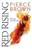 Buchcover und Innenansicht für das Buch: Iron Gold