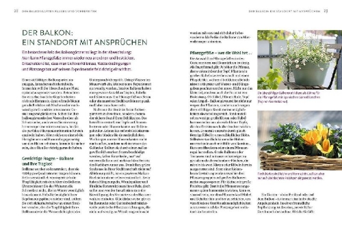 Buchcover und Innenansicht für das Buch: Biene sucht Balkon