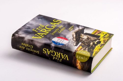 Buchcover und Innenansicht für das Buch: Sur la dalle