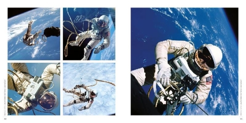Buchcover und Innenansicht für das Buch: Moonshots