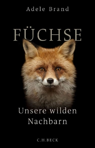 Buchcover und Innenansicht für das Buch: The Hidden World of the Fox