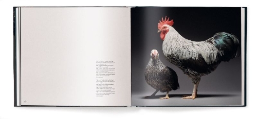 Buchcover und Innenansicht für das Buch: Feathered Elegance