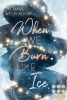 Buchcover und Innenansicht für das Buch: When We Burn Like Ice