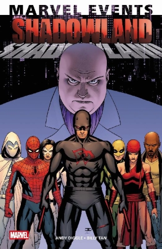 Buchcover und Innenansicht für das Buch: Shadowland (2010) #1-#5