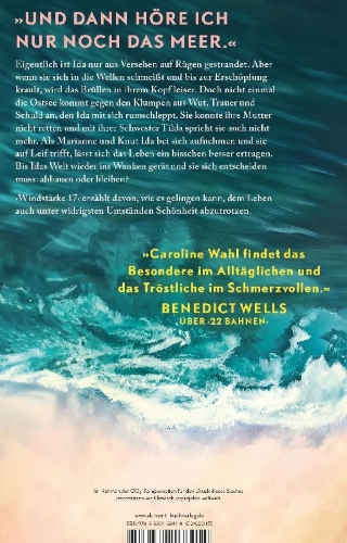 Buchcover und Innenansicht für das Buch: Windstärke 17