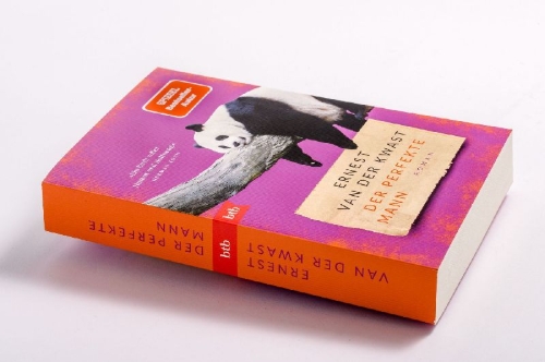Buchcover und Innenansicht für das Buch: ILYAS