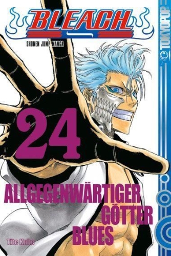Buchcover und Innenansicht für das Buch: Bleach 24