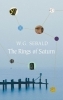 Buchcover und Innenansicht für das Buch: Die Ringe des Saturn