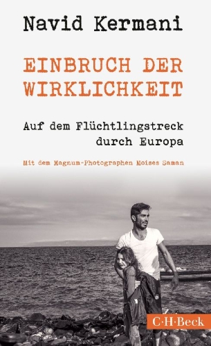 Buchcover und Innenansicht für das Buch: Einbruch der Wirklichkeit