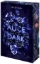 Buchcover und Innenansicht für das Buch: Alice lost in the Dark