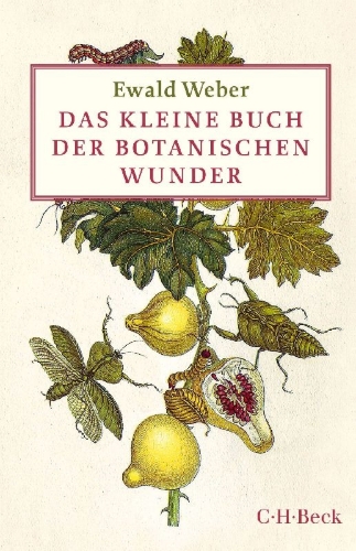 Buchcover und Innenansicht für das Buch: Das kleine Buch der botanischen Wunder