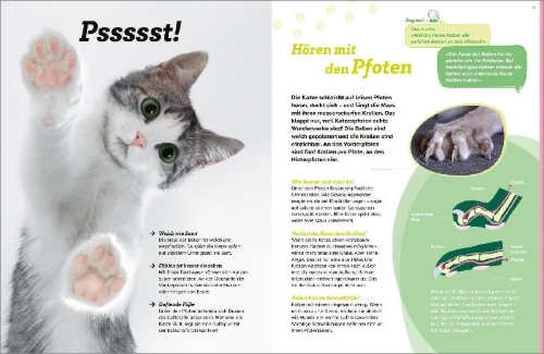Buchcover und Innenansicht für das Buch: WAS IST WAS Katzen. Eigenwillige Schnurrer