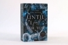 Buchcover und Innenansicht für das Buch: When we lied