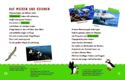 Buchcover und Innenansicht für das Buch: Dein Lesestart - Vögel