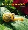 Buchcover und Innenansicht für das Buch: Schneckenleben