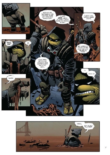 Buchcover und Innenansicht für das Buch: Teenage Mutant Ninja Turtles: The Last Ronin