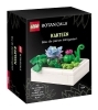 Buchcover und Innenansicht für das Buch: LEGO® Botanical Collection - Kakteen