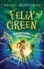 Buchcover und Innenansicht für das Buch: Felix and the Future Agency