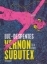 Buchcover und Innenansicht für das Buch: Vernon Subutex 2