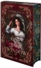 Buchcover und Innenansicht für das Buch: ONE DARK WINDOW