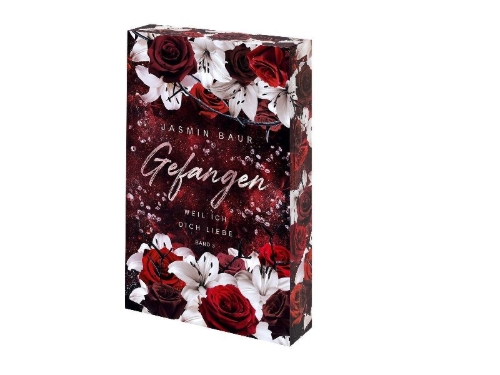 Buchcover und Innenansicht für das Buch: Gefangen