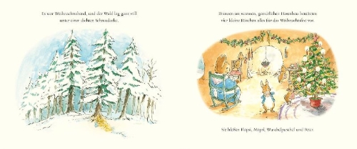 Buchcover und Innenansicht für das Buch: A ChristmasWish