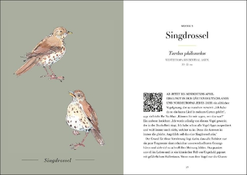 Buchcover und Innenansicht für das Buch: A Year of Birdsong