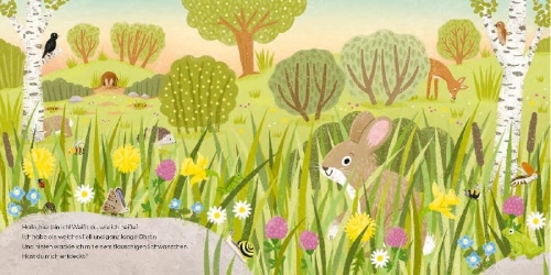 Buchcover und Innenansicht für das Buch: Kennst du mich? Ich bin ein Kaninchen!