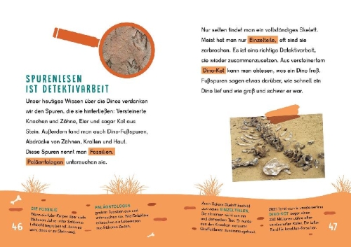 Buchcover und Innenansicht für das Buch: Dein Lesestart - Dinosaurier