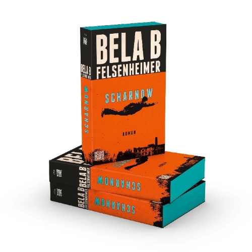 Buchcover und Innenansicht für das Buch: Scharnow