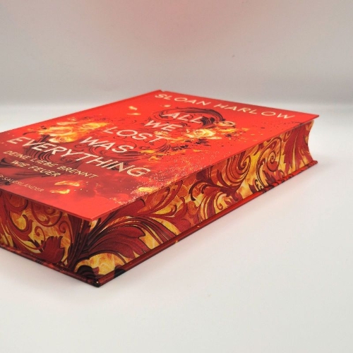 Buchcover und Innenansicht für das Buch: All We Lost Was Everthing