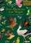 Buchcover und Innenansicht für das Buch: Das Museum der Vögel