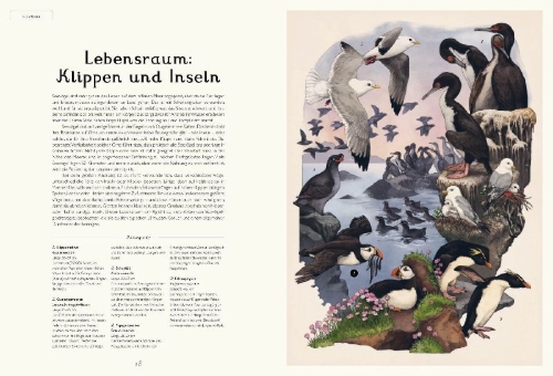 Buchcover und Innenansicht für das Buch: Das Museum der Vögel