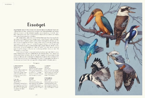 Buchcover und Innenansicht für das Buch: Das Museum der Vögel