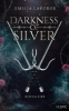 Buchcover und Innenansicht für das Buch: Darkness of Silver 2: Rising Fire