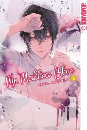 Buchcover und Innenansicht für das Buch: Mr. Mallow Blue 02