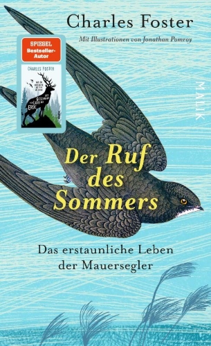 Buchcover und Innenansicht für das Buch: The screaming Sky