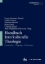 Buchcover und Innenansicht für das Buch: Handbuch Interkulturelle Theologie