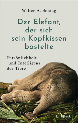Buchcover und Innenansicht für das Buch: Der Elefant, der sich sein Kopfkissen bastelte