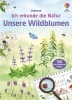 Buchcover und Innenansicht für das Buch: Ich erkunde die Natur: Unsere Wildblumen