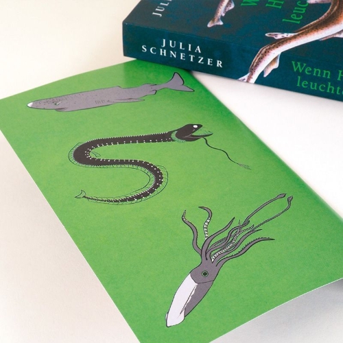 Buchcover und Innenansicht für das Buch: Wenn Haie leuchten