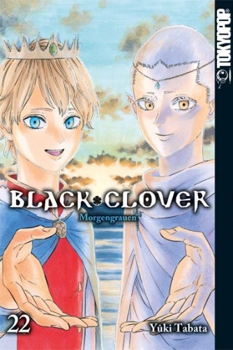 Buchcover und Innenansicht für das Buch: Black Clover 22