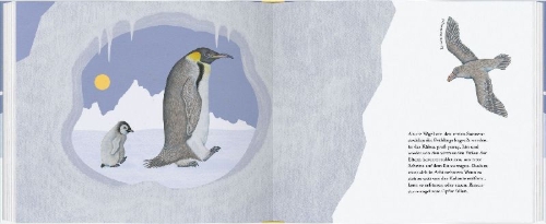 Buchcover und Innenansicht für das Buch: Kleiner Pinguin, bald bist du groß!