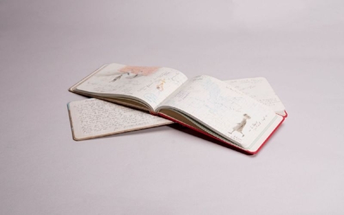 Buchcover und Innenansicht für das Buch: Francis Alÿs