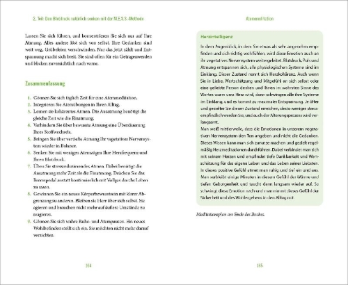 Buchcover und Innenansicht für das Buch: So verlassen Sie das Hochdruckgebiet