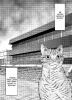 Buchcover und Innenansicht für das Buch: Night of the Living Cat 06 - I am Neko