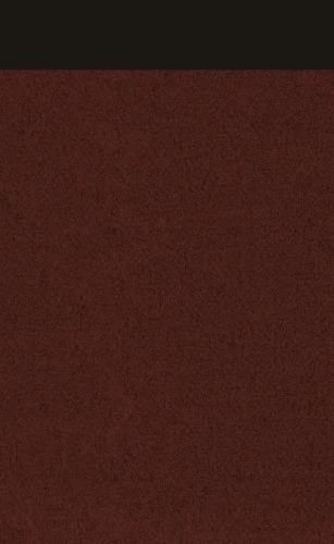 Buchcover und Innenansicht für das Buch: Laughter in the Dark; Despair; Kamera obskura
