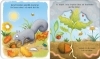 Buchcover und Innenansicht für das Buch: Schau mal, wie ich wachse! Vom Samen zum Baum