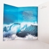 Buchcover und Innenansicht für das Buch: The Fire, The Water and Maudie McGinn